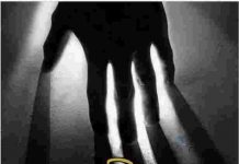 প্যারাডক্সিক্যাল সাজিদ pdf বই ডাউনলোড প্যারাডক্সিক্যাল সাজিদ pdf বই ডাউনলোড