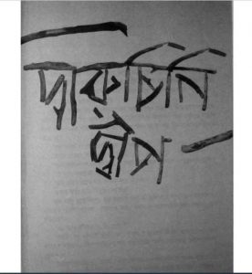দারুচিনি দ্বীপ pdf বই ডাউনলোড