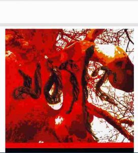 মধ্যাহ্ন ২ pdf বই ডাউনলোড