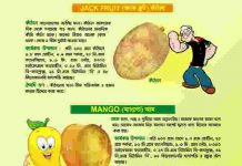 বিভিন্ন ফলের ঔষধি গুন pdf বই ডাউনলোড বিভিন্ন ফলের ঔষধি গুন pdf বই ডাউনলোড